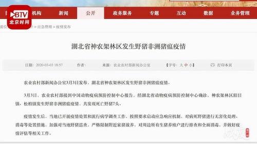 今日农村爆料新闻网最新,聚焦乡村振兴，探寻农业发展新路径